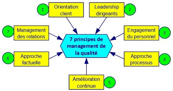 7 principes